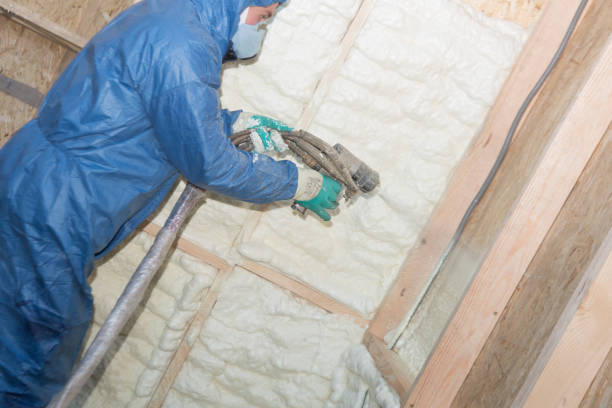 Best Insulation Removal  in USA